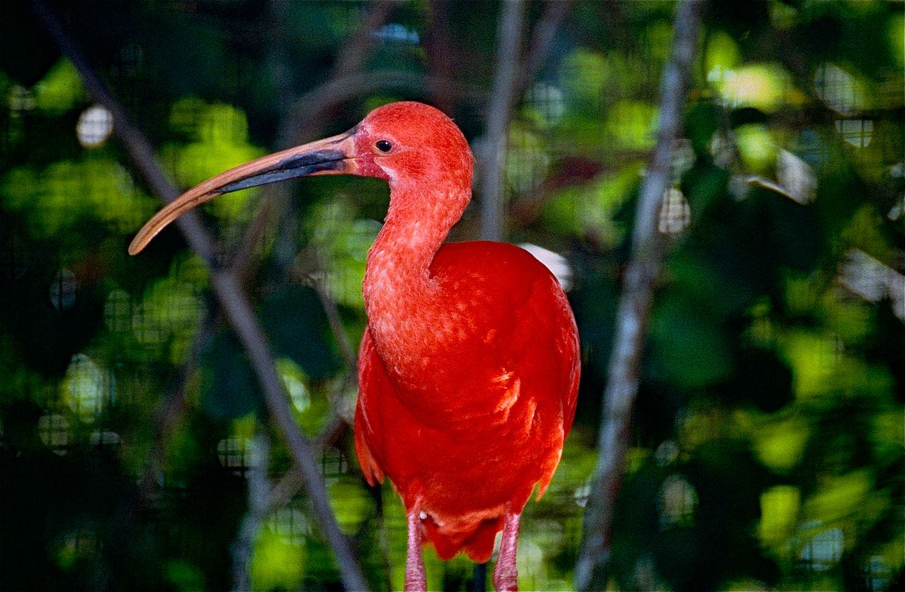 Macouria, French Guiana